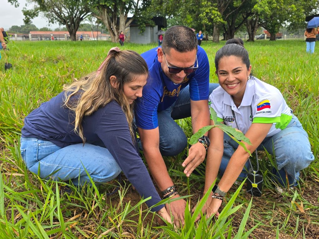 Sembrados más de mil 500 árboles en Campo de Carabobo - Agencia Carabobeña de Noticias