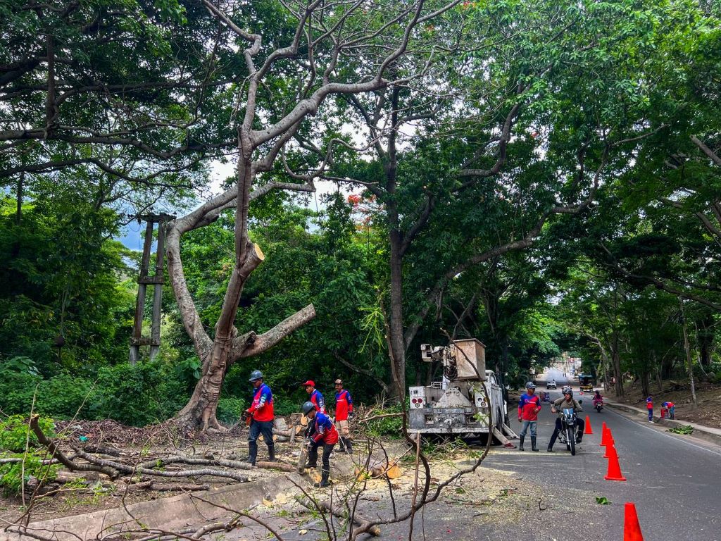 Trabajan tramos de Carretera Nacional de Naguanagua - Agencia Carabobeña de Noticias