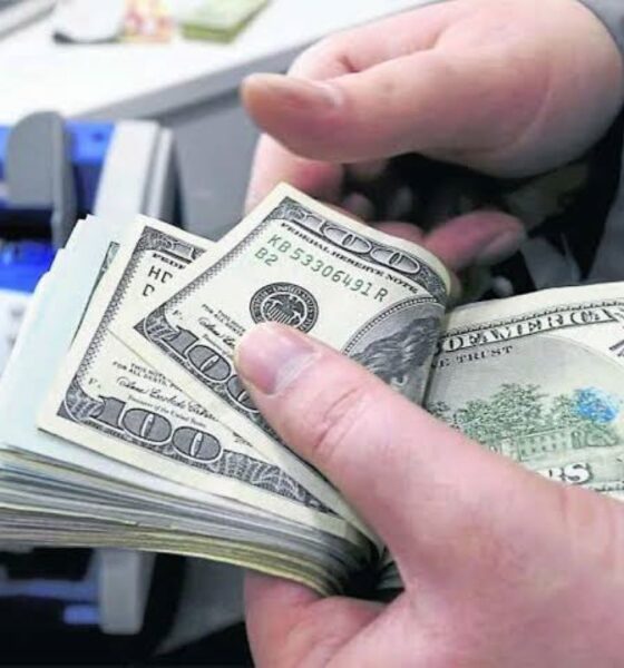 Asignación de divisas se mantiene en julio - Agencia Carabobeña de Noticias