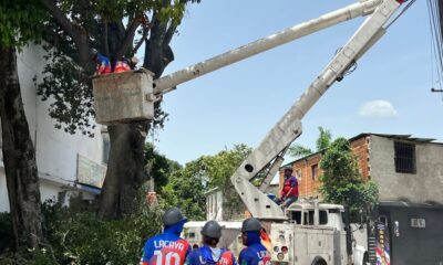 Alcaldía de Naguanagua intensifica labores de poda - Agencia Carabobeña de Noticias