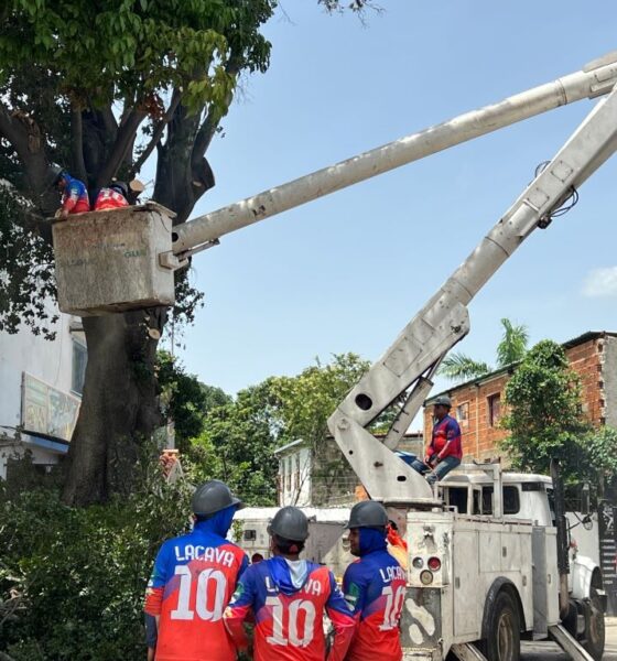 Alcaldía de Naguanagua intensifica labores de poda - Agencia Carabobeña de Noticias