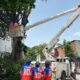 Alcaldía de Naguanagua intensifica labores de poda - Agencia Carabobeña de Noticias