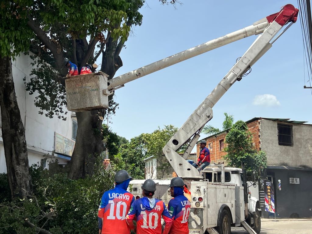 Alcaldía de Naguanagua intensifica labores de poda - Agencia Carabobeña de Noticias
