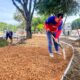 Avanzan trabajos en plaza Rafael Urdaneta - Agencia Carabobeña de Noticias