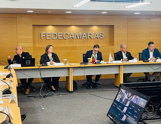 Fedecámaras Comité de Seguimiento