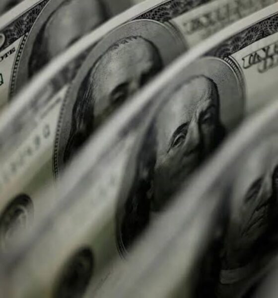 Precio del dólar del 7 de julio - Agencia Carabobeña de Noticias