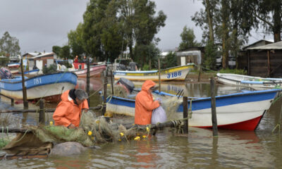 Temporal de lluvias en Chile - Agencia Carabobeña de Noticias