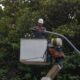 Recuperan 96% de energía eléctrica en La Guaira - Agencia Carabobeña de Noticias
