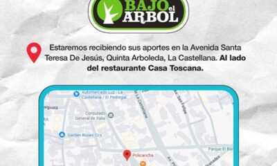 terremotos Bajo el Árbol