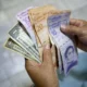 El bolívar se devaluó 15 % frente al dólar durante julio - Agencia Carabobeña de Noticias