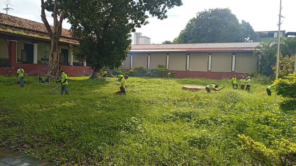 Jornada de poda en Jardín Botánico de Naguanagua - Agencia Carabobeña de Noticias