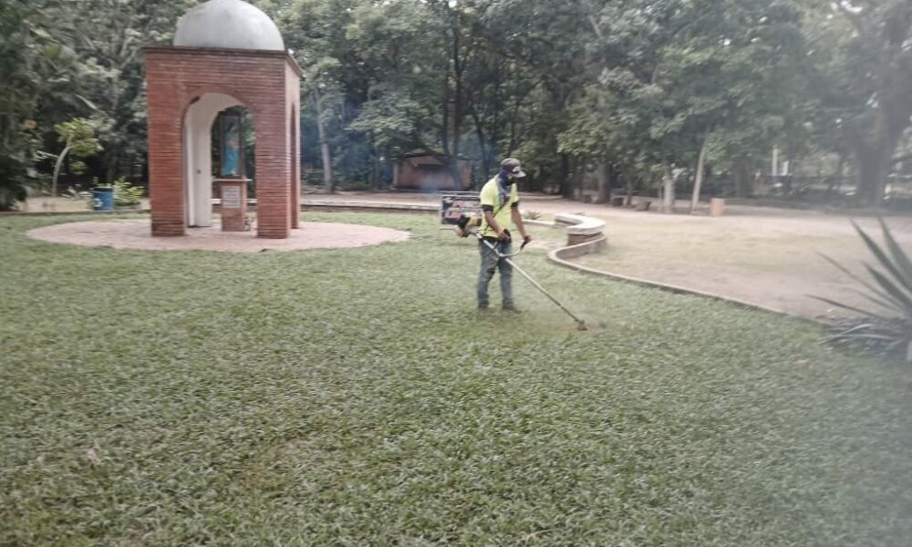 Jornada de poda en Jardín Botánico de Naguanagua - Agencia Carabobeña de Noticias