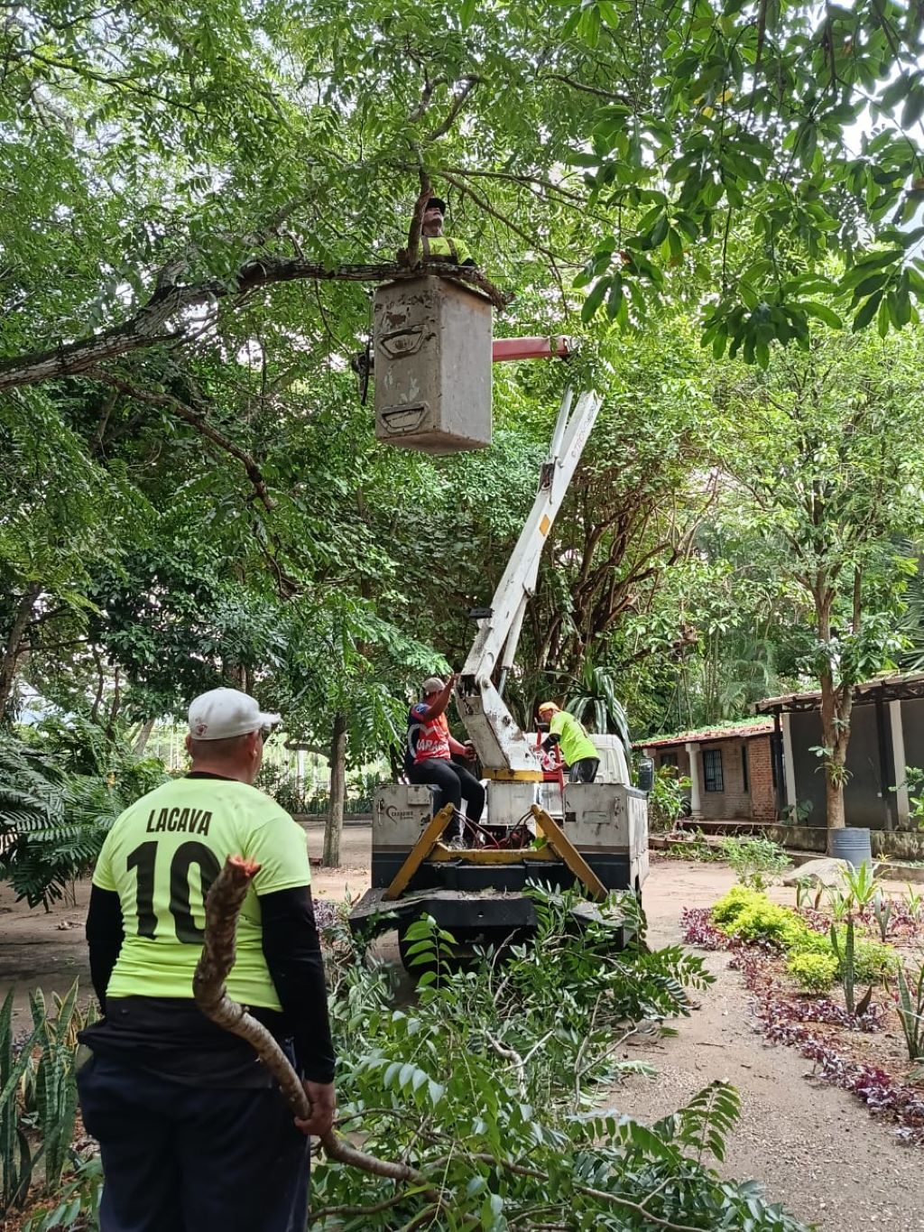 Jornada de poda en Jardín Botánico de Naguanagua - Agencia Carabobeña de Noticias
