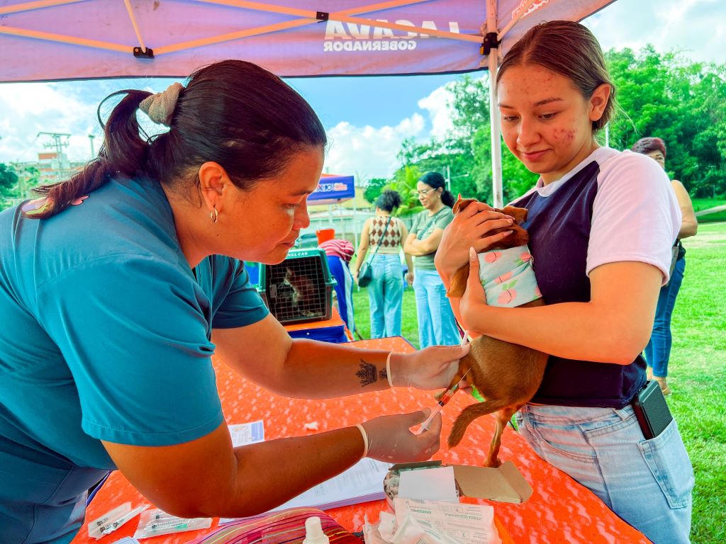 Jornadas veterinarias de Alcaldía de Naguanagua - Agencia Carabobeña de Noticias