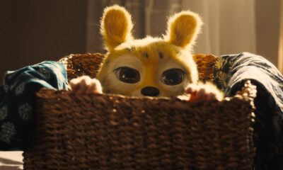 Marsupilami Venezuela