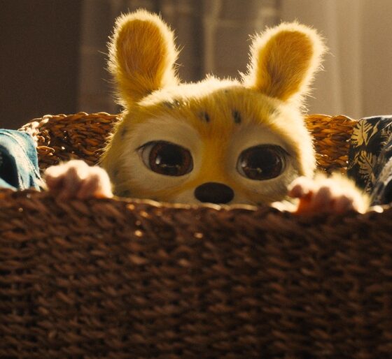 Marsupilami Venezuela