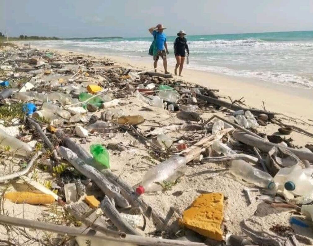 Se acerca Día Mundial de las Playas en Carabobo - Agencia Carabobeña de Noticias