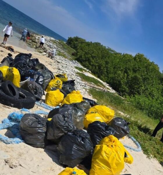 Se acerca Día Mundial de las Playas en Carabobo - Agencia Carabobeña de Noticias