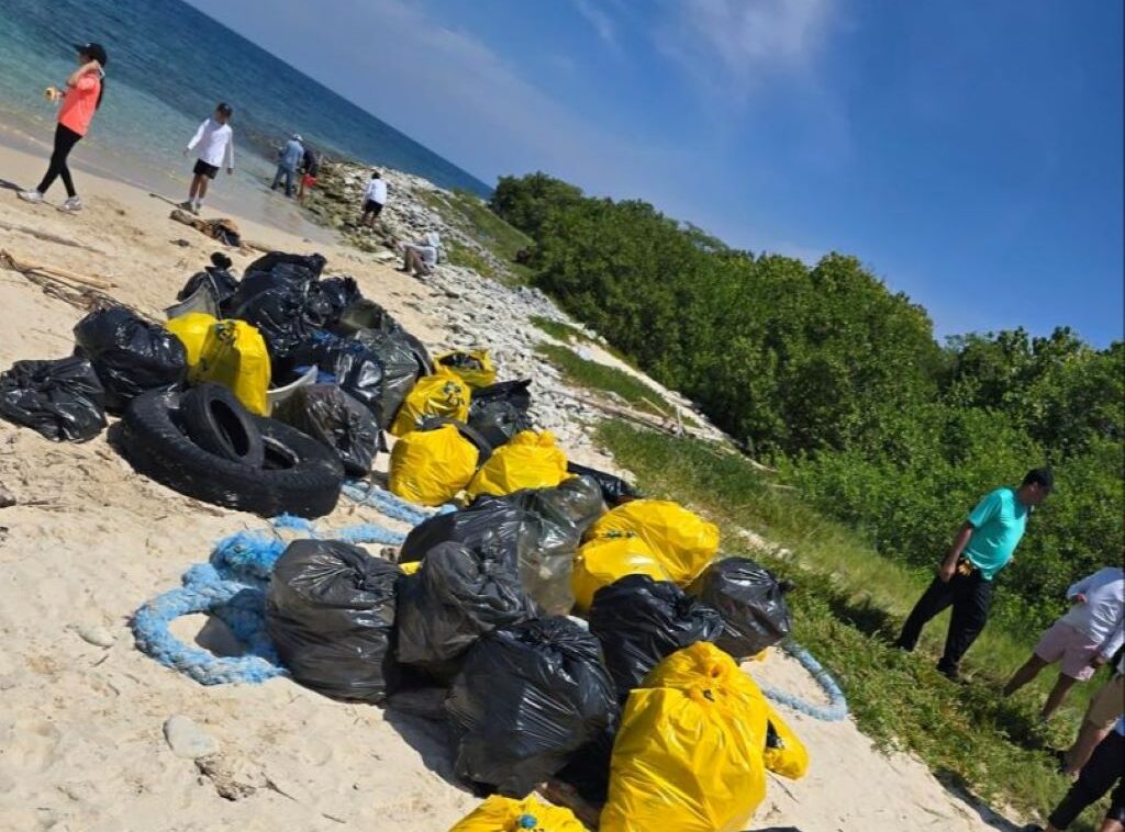 Se acerca Día Mundial de las Playas en Carabobo - Agencia Carabobeña de Noticias