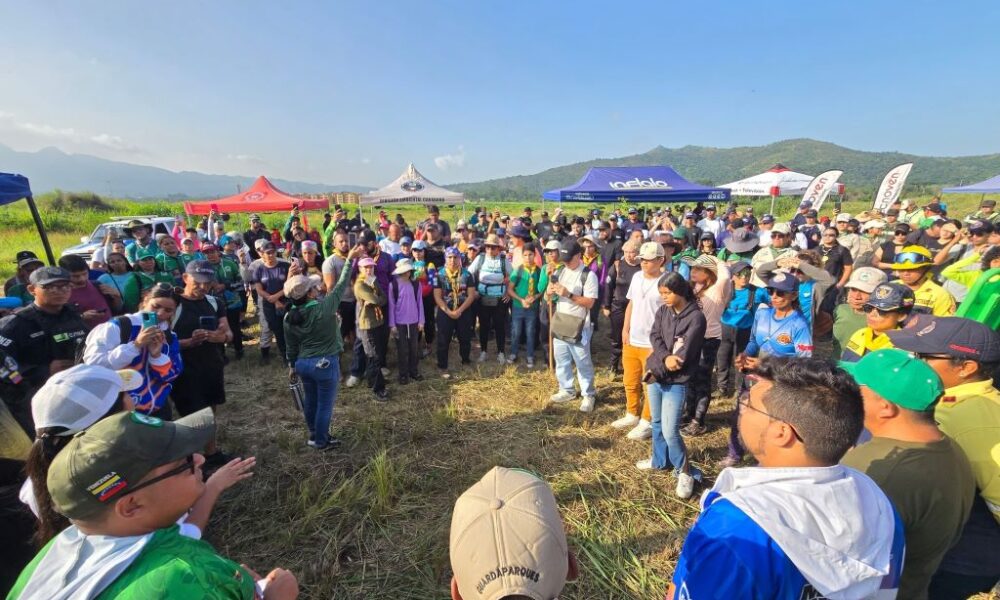 Sembrados más de mil árboles en Fila Cúpira - Agencia Carabobeña de Noticias