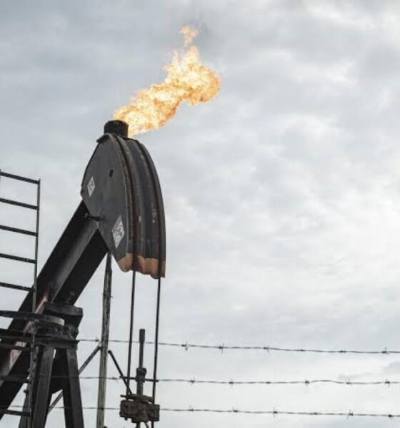 Venezuela es segundo proveedor de petróleo de EEUU - Agencia Carabobeña de Noticias