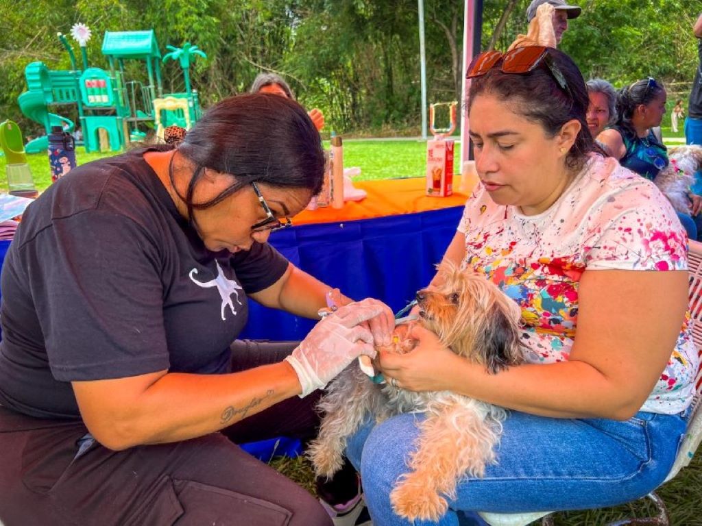 Alcaldía de Naguanagua atendió más de 270 mascotas - Agencia Carabobeña de Noticias