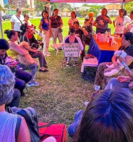 Alcaldía de Naguanagua atendió más de 270 mascotas