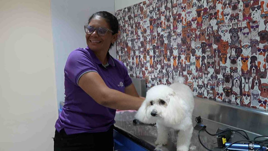 Inauguran Centro de Bienestar Animal en San Joaquín - Agencia Carabobeña de Noticias