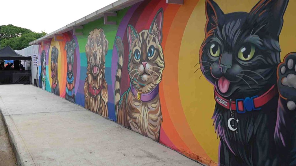 Inauguran Centro de Bienestar Animal en San Joaquín - Agencia Carabobeña de Noticias