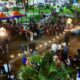 Programa “Ruta Dorada” de Naguanagua - Agencia Carabobeña de Noticias