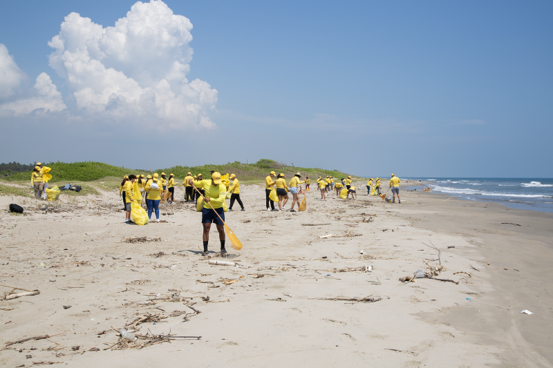 Voluntarios de EPA